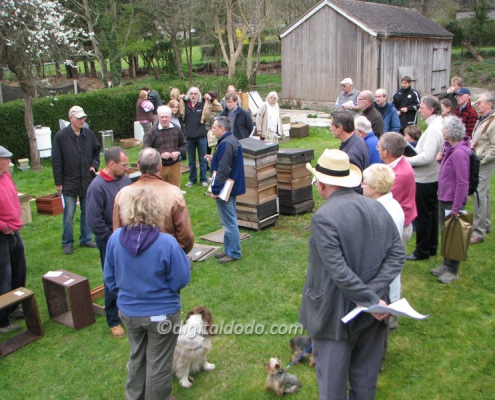 Getting Started in Beekeeping - Beekeeping auction