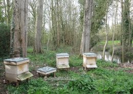 River Mole Apiary